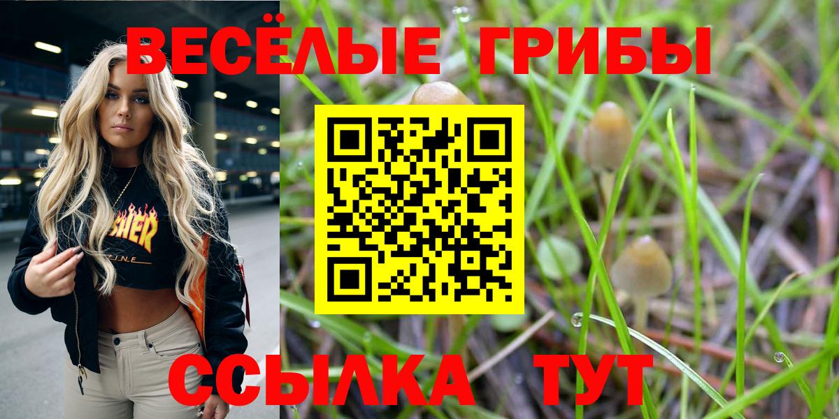 Псилоцибиновые грибы Cubensis  Галлюциногенные грибы мухоморы  Вход с VPN  Великий Устюг 